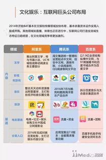 2017年中国经营性互联网文化服务 市场格局、发展趋势与用户洞察