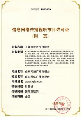 软件开发整改清单与设计开发输入输出清单解析——聚焦经营性互联网文化服务