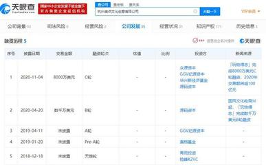 玩物得志完成8000万美元C轮融资，2020年交易额将超100亿，引领经营性互联网文化服务新浪潮