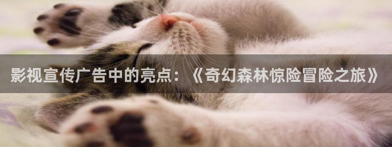 蓝莓视频www：影视宣传广告中的亮点：《奇幻森林惊险冒险之旅》