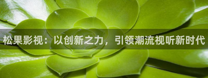 免费蓝莓视频：松果影视：以创新之力，引领潮流视听新时代