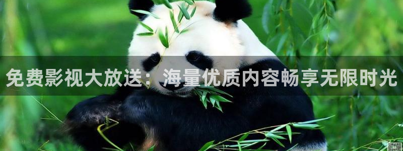 蓝莓视频怎么删除：免费影视大放送：海量优质内容畅享无限时光