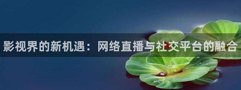 ▇蓝莓视频▇在线播放：影视界的新机遇：网络直播与社交平台的融合