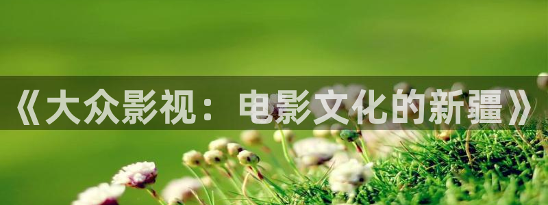 蓝莓福利视频：《大众影视：电影文化的新疆》