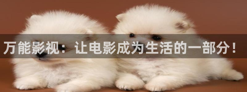 老版蓝莓视频：万能影视：让电影成为生活的一部分！