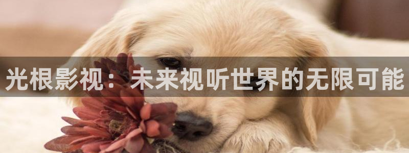 校花脱让我蓝莓视频：光根影视：未来视听世界的无限可能
