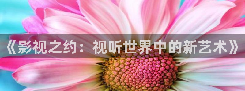 9·1蓝莓视频：《影视之约：视听世界中的新艺术》