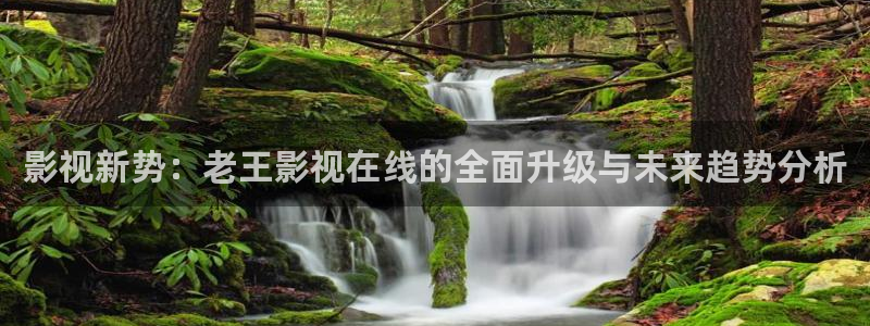 蓝莓※视频：影视新势：老王影视在线的全面升级与未来趋势分析