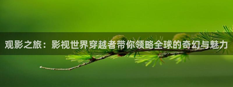 蓝莓视频17c：观影之旅：影视世界穿越者带你领略全球的奇幻与魅力